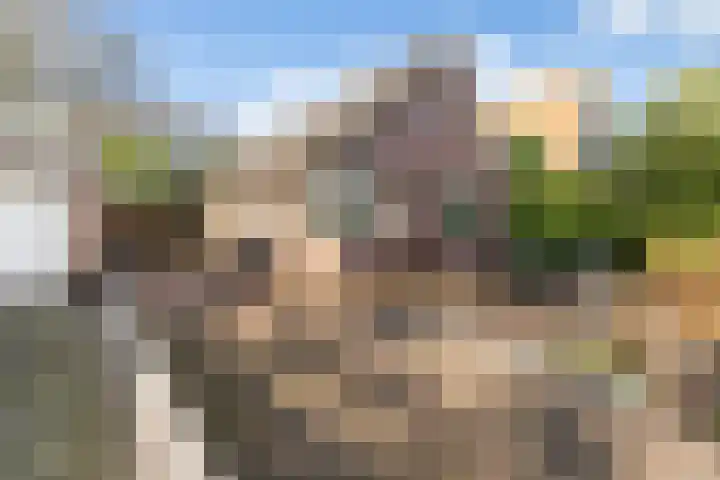 Badhuisweg 3 Ermelo thumbnail 5