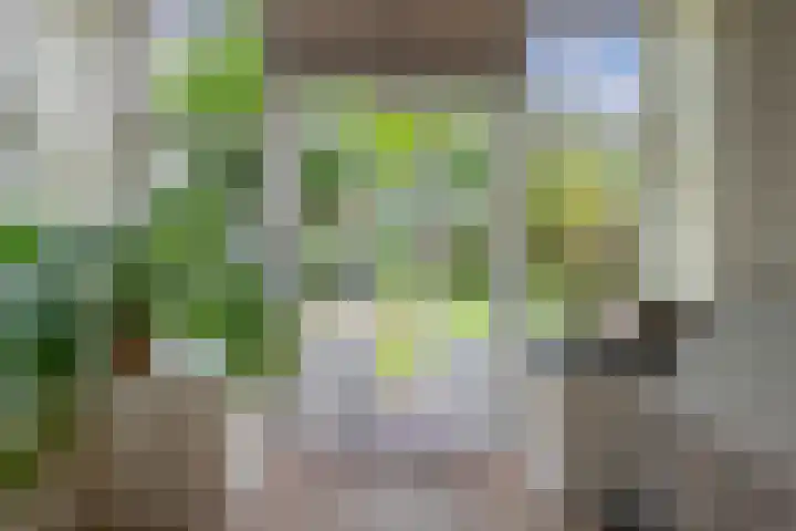 Badlaan 4 Muiderberg thumbnail 11