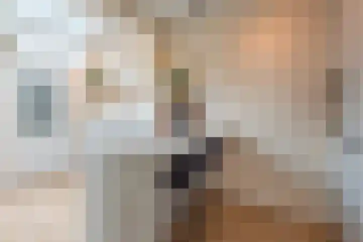 Badlaan 4 Muiderberg thumbnail 14