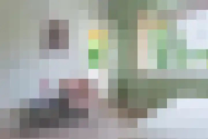 Badlaan 4 Muiderberg thumbnail 20