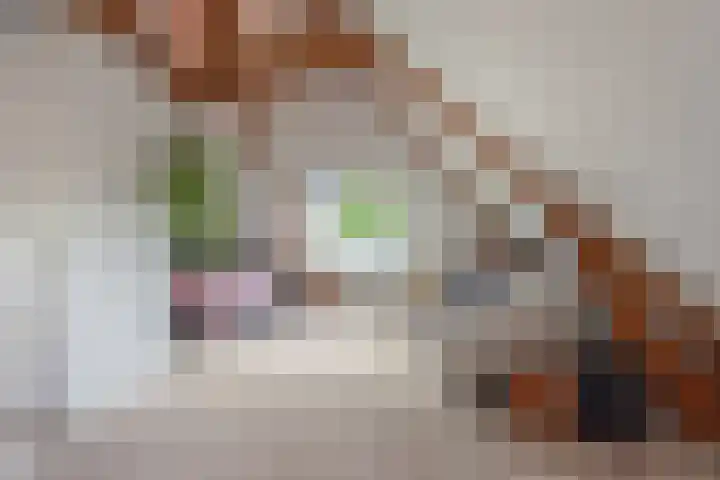Badlaan 4 Muiderberg thumbnail 28