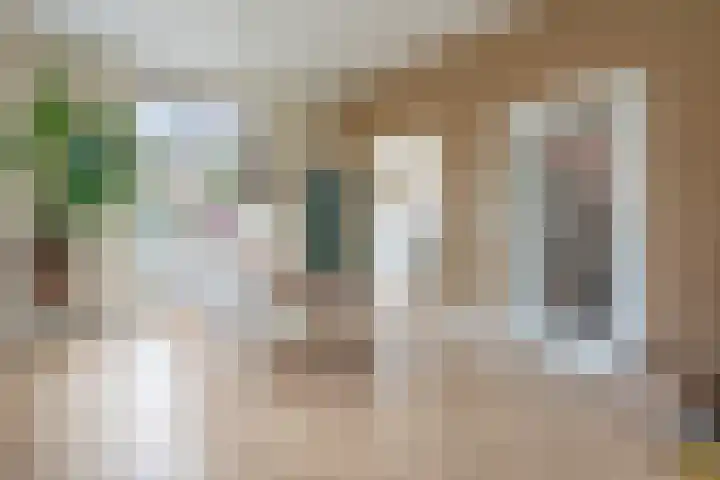 Badlaan 4 Muiderberg thumbnail 6