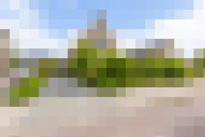 Badweg 14 Gorredijk thumbnail 10