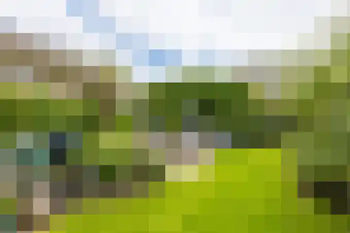 Badweg 14 Gorredijk thumbnail 13