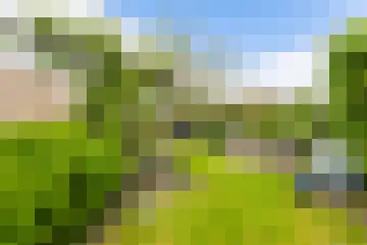 Badweg 14 Gorredijk thumbnail 15