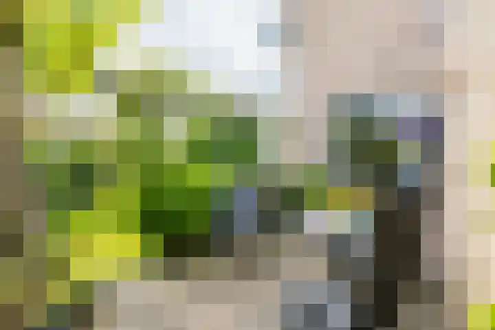 Badweg 14 Gorredijk thumbnail 17