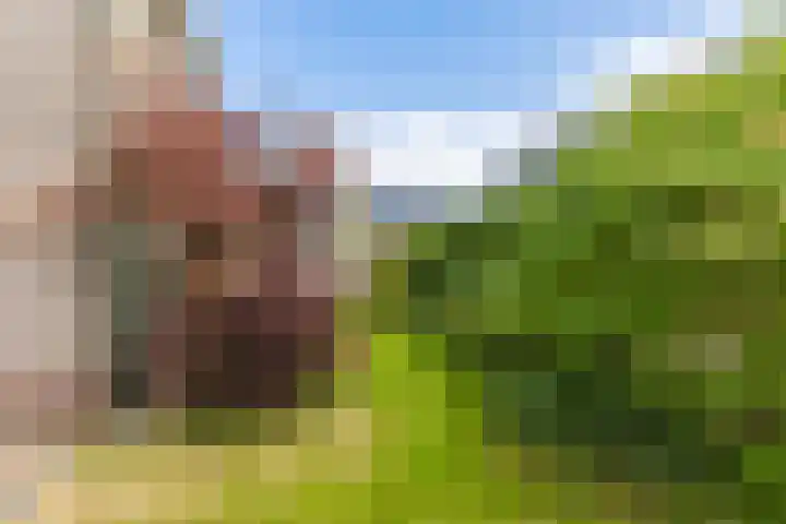 Badweg 14 Gorredijk thumbnail 18
