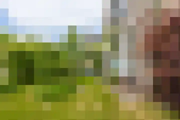 Badweg 14 Gorredijk thumbnail 19