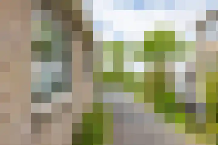 Badweg 14 Gorredijk thumbnail 21
