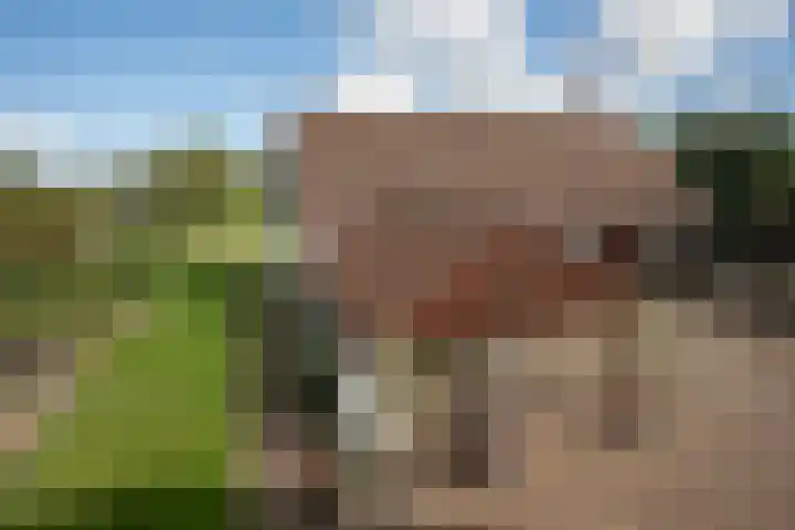 Badweg 4 Almelo thumbnail 36
