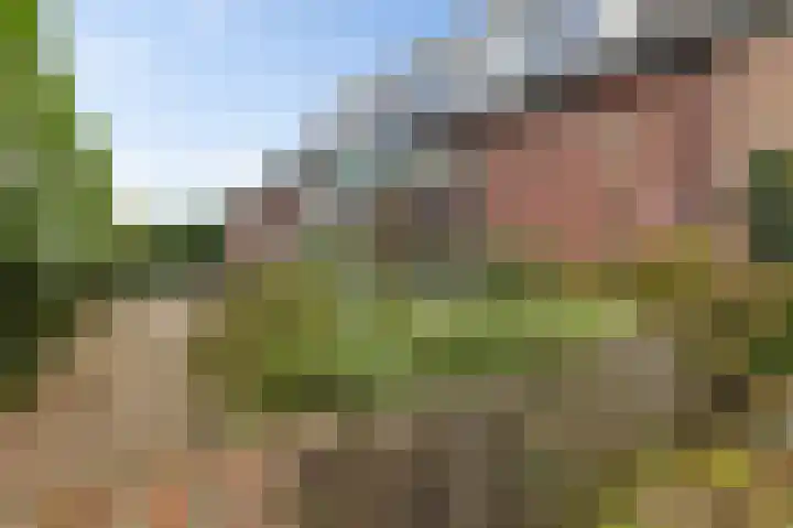 Badweg 4 Ulft thumbnail 13