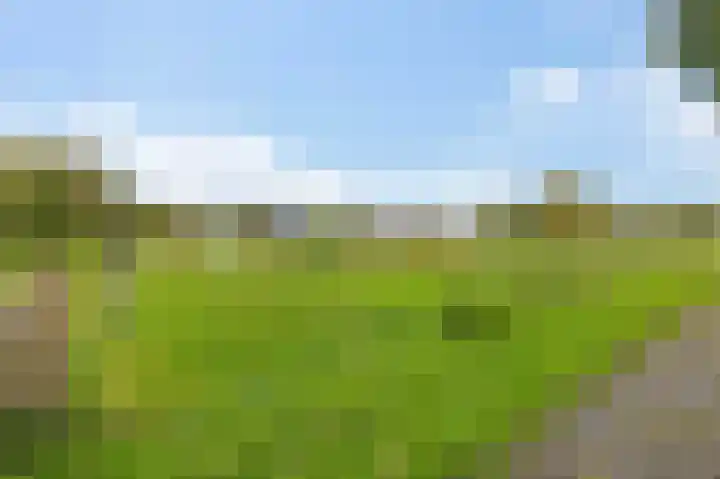 Badweg 4 Ulft thumbnail 9