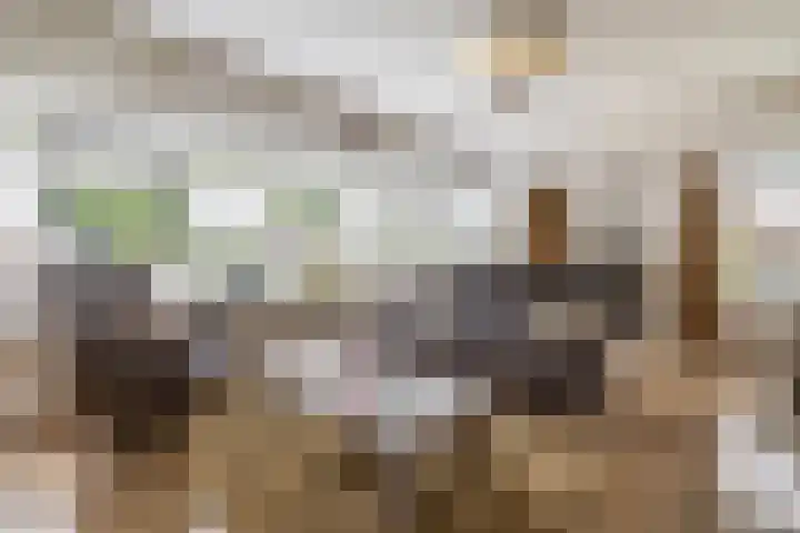 Badweg 68 Meeden thumbnail 13