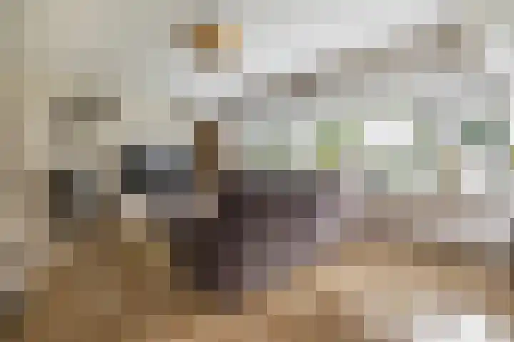 Badweg 68 Meeden thumbnail 14