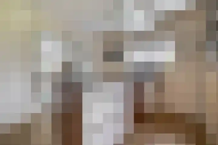 Badweg 68 Meeden thumbnail 17