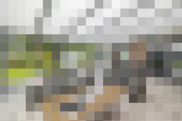 Badweg 68 Meeden thumbnail 22