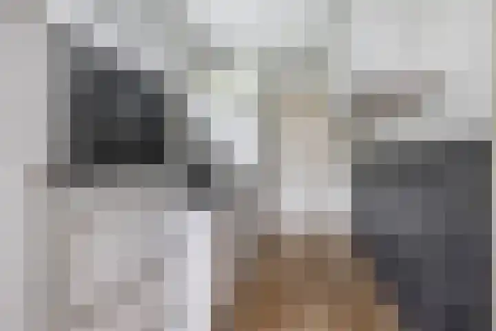 Badweg 68 Meeden thumbnail 24
