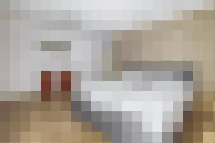 Badweg 68 Meeden thumbnail 27
