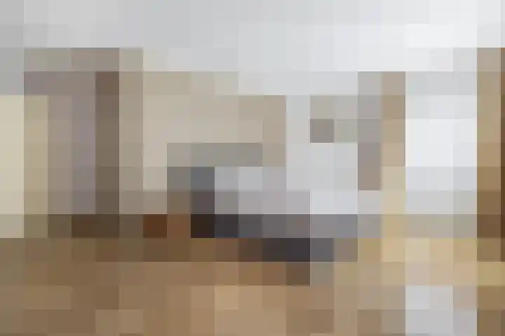 Badweg 68 Meeden thumbnail 28