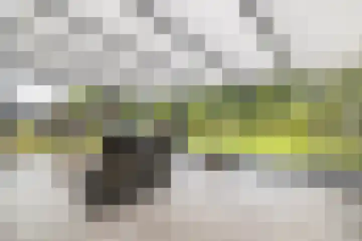Badweg 68 Meeden thumbnail 4