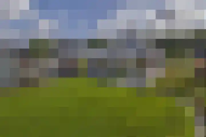 Badweg 68 Meeden thumbnail 44