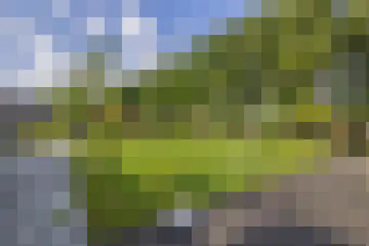 Badweg 68 Meeden thumbnail 45