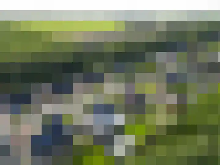 Badweg 68 Meeden thumbnail 52
