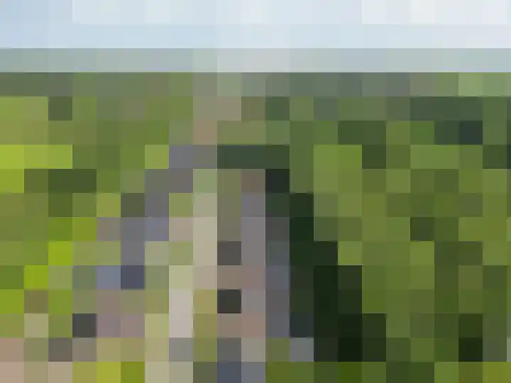 Badweg 68 Meeden thumbnail 54