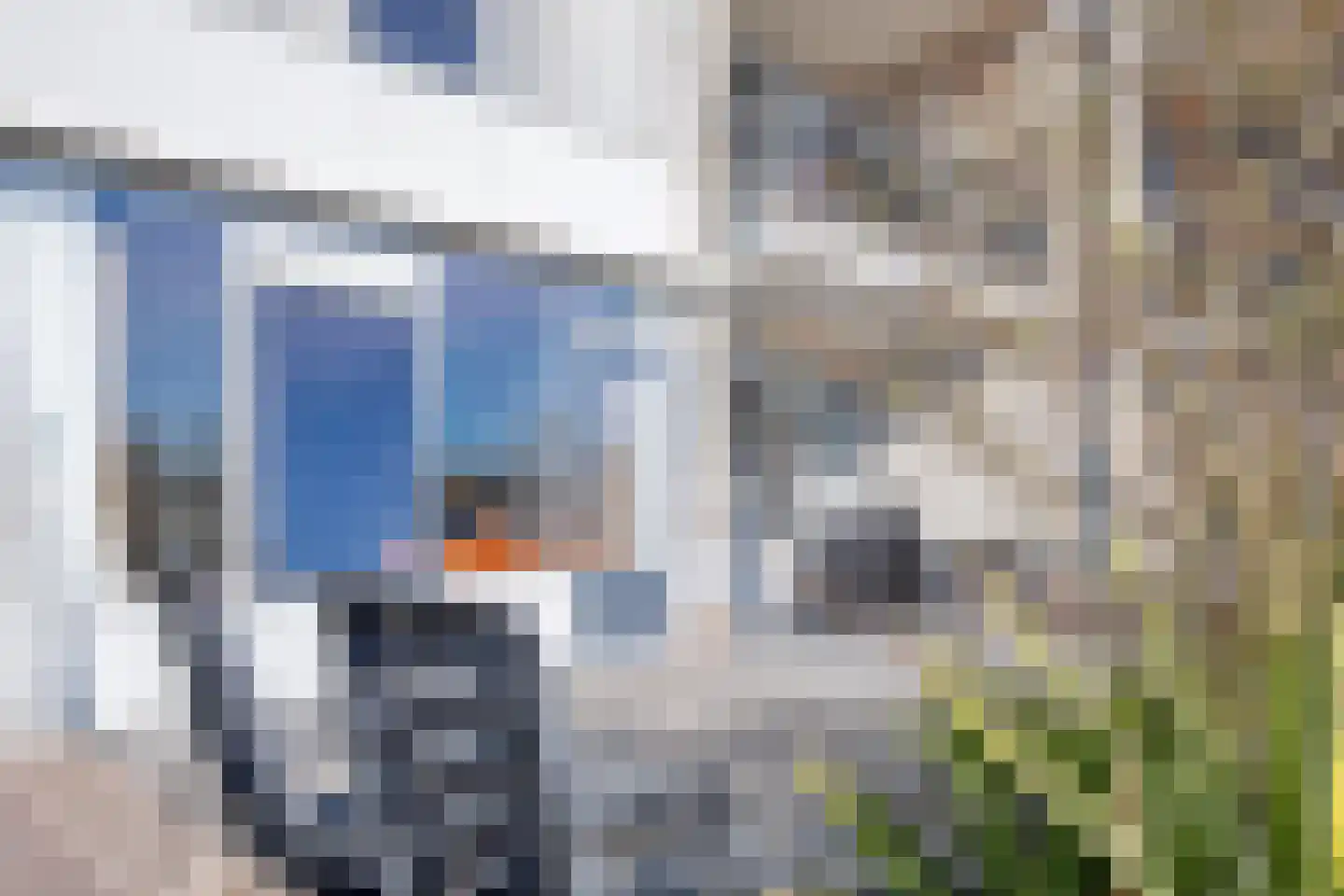 Badweg 72 De Koog thumbnail 5