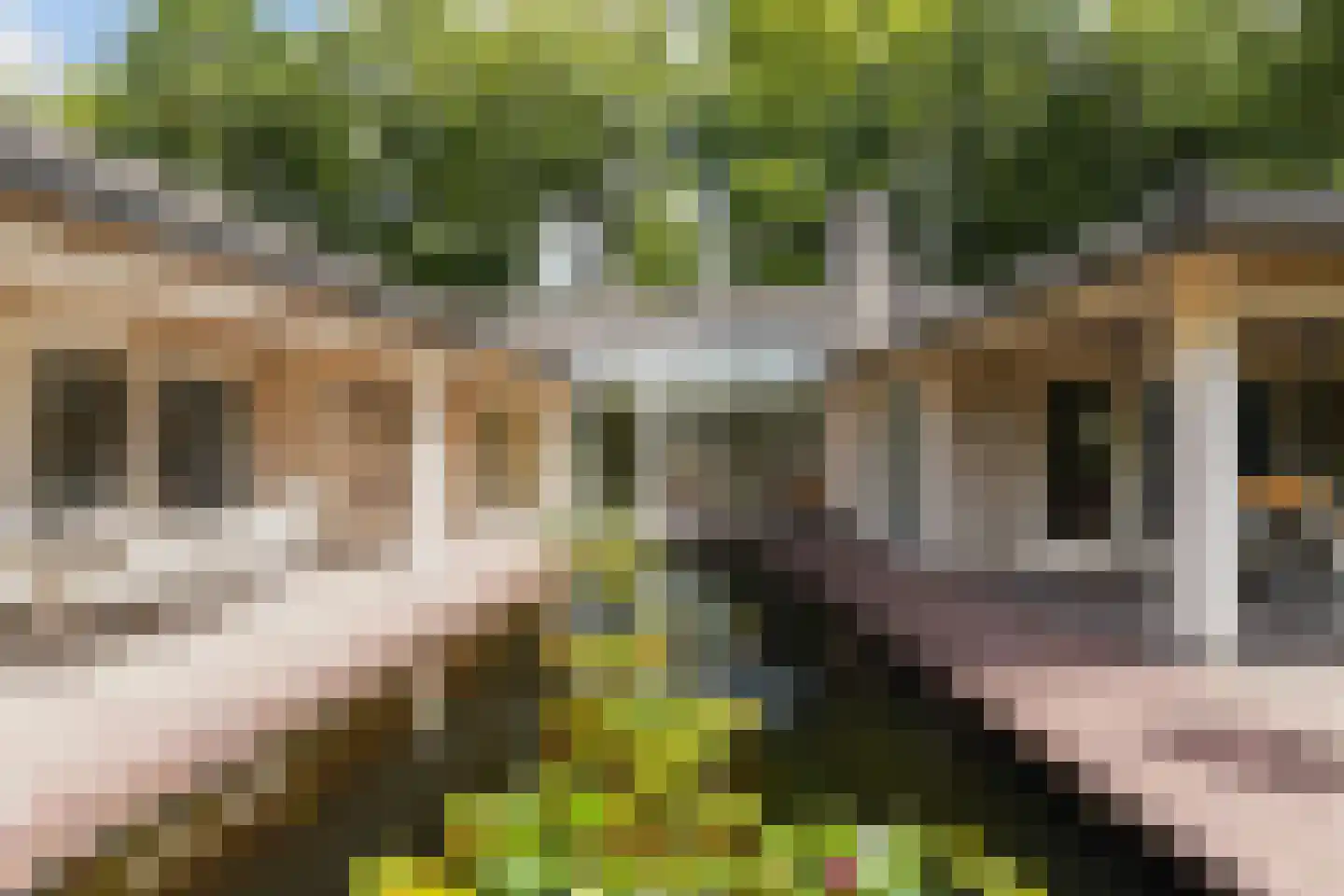 Baerdijk 134 Oisterwijk thumbnail 36