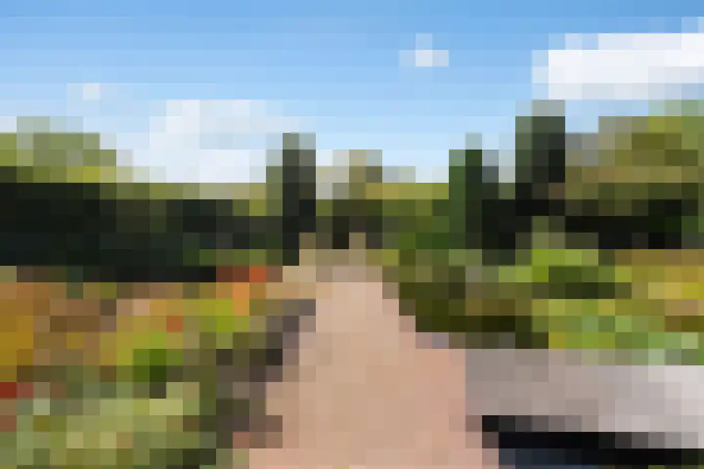 Baerdijk 134 Oisterwijk thumbnail 38