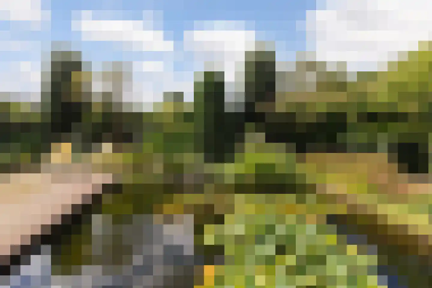 Baerdijk 134 Oisterwijk thumbnail 50