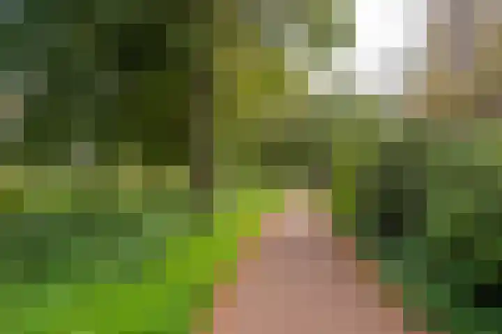 Baetenburg 115 Heiloo thumbnail 36