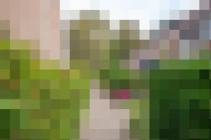 Baetenburg 115 Heiloo thumbnail 38