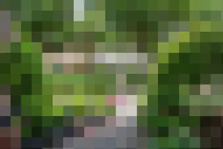 Baetenburg 53 Heiloo thumbnail 48
