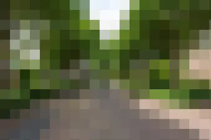 Baetenburg 53 Heiloo thumbnail 49