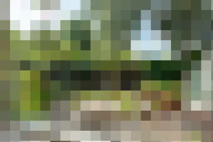 Baetenburg 53 Heiloo thumbnail 9