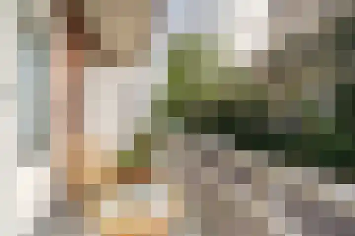 Baetostraat 20 2 Amsterdam thumbnail 12