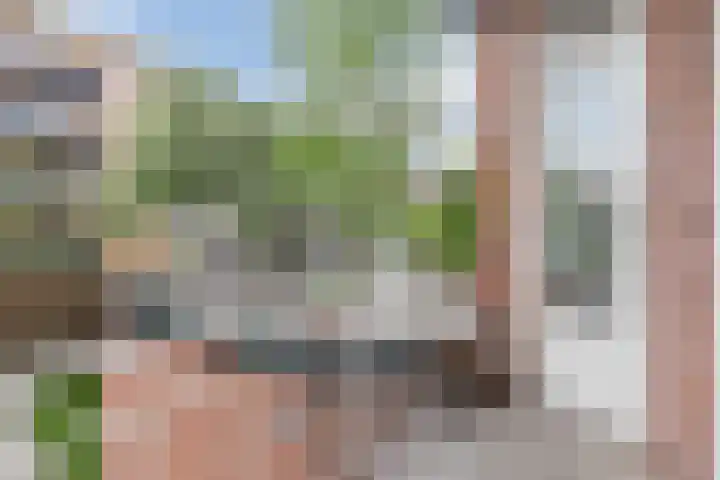 Baetostraat 20 2 Amsterdam thumbnail 19