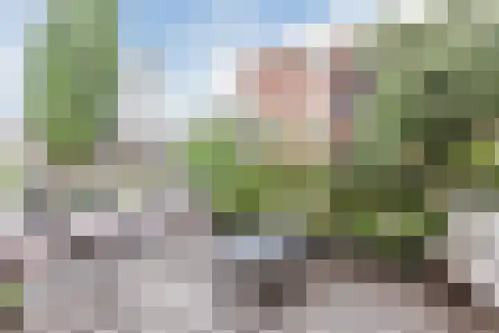 Baetostraat 20 2 Amsterdam thumbnail 21