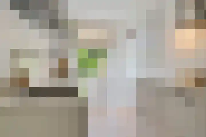 Baetostraat 20 2 Amsterdam thumbnail 25