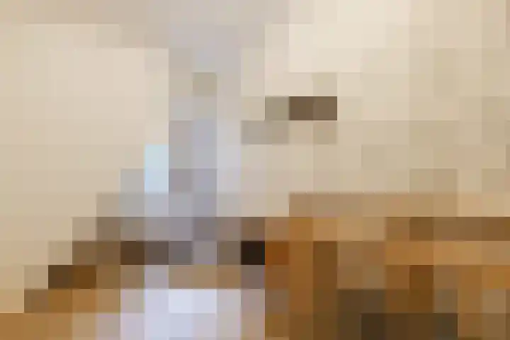 Baetostraat 20 2 Amsterdam thumbnail 33