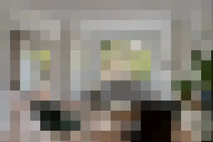 Baetostraat 20 2 Amsterdam thumbnail 5