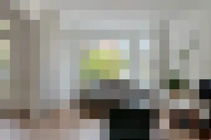 Baetostraat 20 2 Amsterdam thumbnail 7
