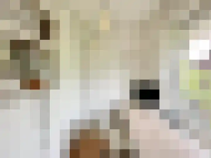 Baffinstraat 10 H Amsterdam thumbnail 12