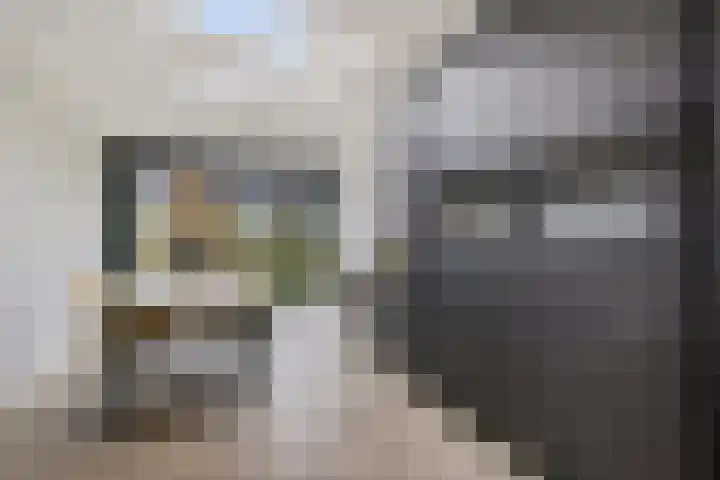 Baggelaar 3 Echtenerbrug thumbnail 15