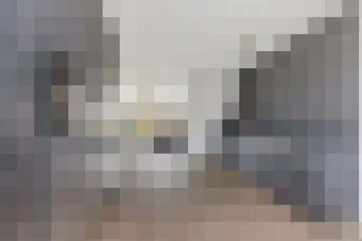 Baggelaar 3 Echtenerbrug thumbnail 16