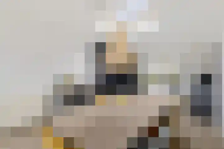 Baggelaar 3 Echtenerbrug thumbnail 18