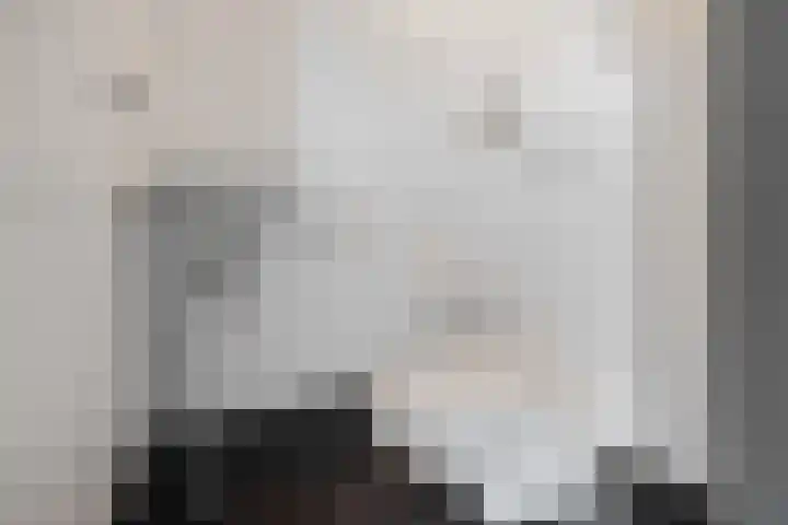 Baggelaar 3 Echtenerbrug thumbnail 23