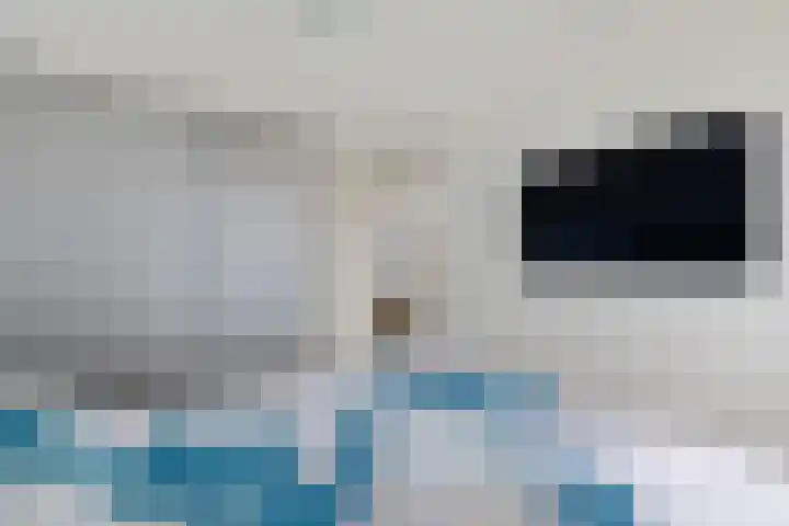 Baggelaar 3 Echtenerbrug thumbnail 30